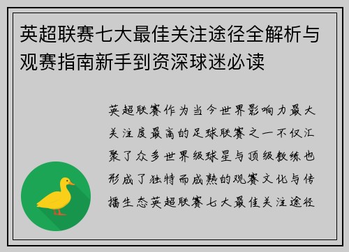 英超联赛七大最佳关注途径全解析与观赛指南新手到资深球迷必读